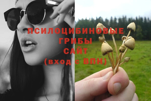 прущая мука Алзамай