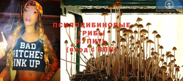 амфетамин Алексин