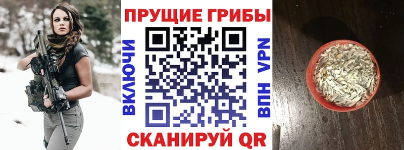 Псилоцибиновые грибы мицелий  Елец 