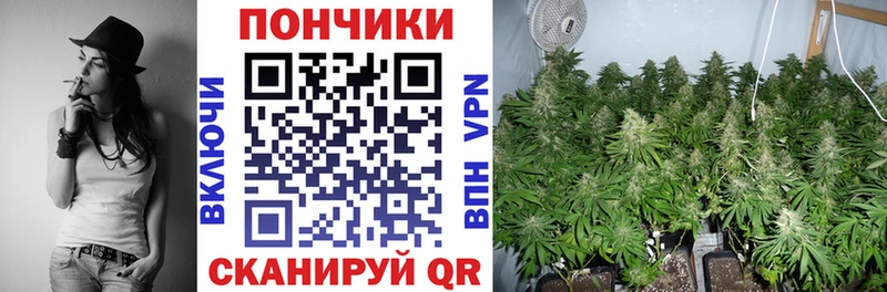 Каннабис индика  где найти наркотики  Елец 